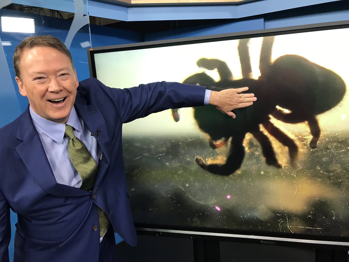 MalloryWPSD's tweet photo. Ain’t he cute?!?! This guy loves a good back rub &amp; is great on a leash. #WeatherCameraAdventures https://t.co/0bLceVIe2K