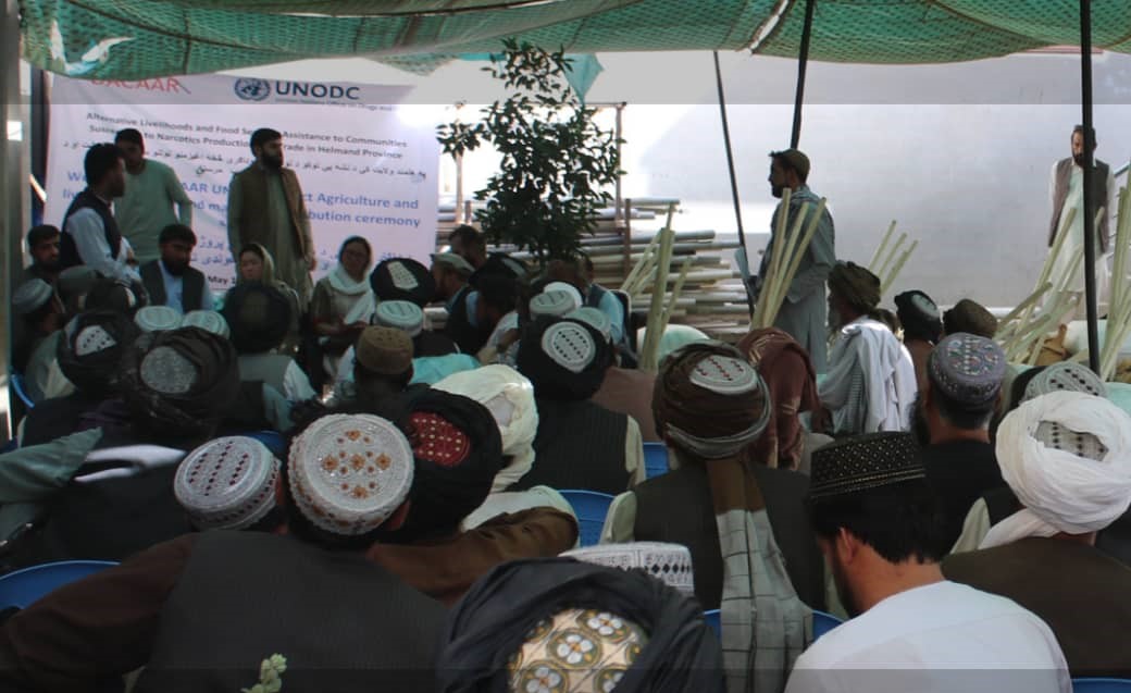 @UNODC @MiwaKatoEmpower distributed Improved cereal & vegetable seeds, fertilizer and agriculture tools in Kandahar and Helmand #AFG under STFA and Italian fund and launched livestock management campaign.