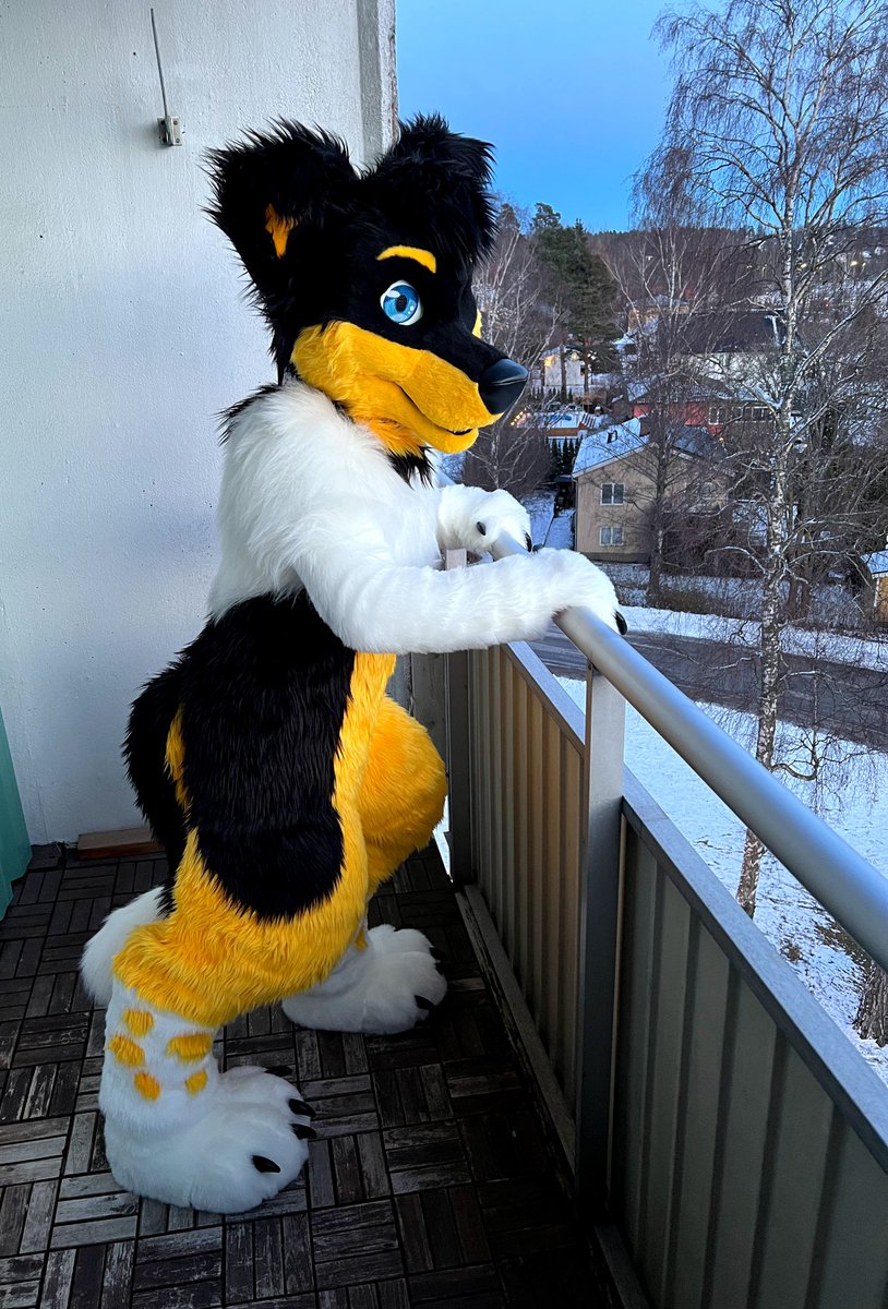 Heck, it's that squirrel again!
#FursuitFriday #Furry #Fursuit
✂️<a href="/Furitup/">🦃🥧Furitup🥧🦃</a>
📸 <a href="/AorooHusky/">Aoroo</a>