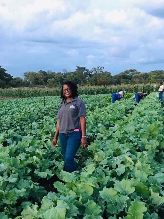 IGChero_Ke's tweet photo. And the next African billionaires will be farmers 😍 https://t.co/jZo2lSB2Mf