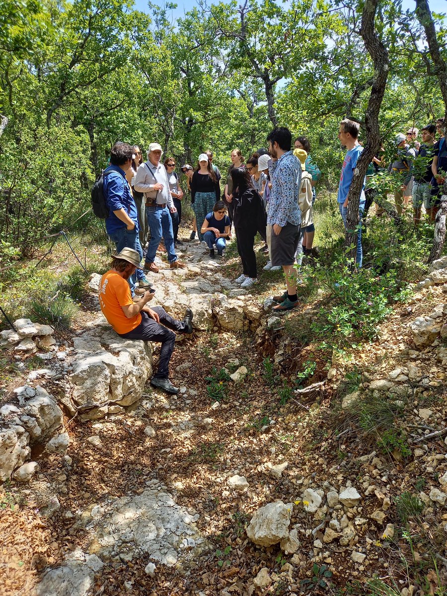 tildechom's tweet photo. Trees need to cope with such shallow soil, and water scarcity in mediteranean climate. Here we can see the bedrock only few centimeters below the surface @thierrygauquel1 @imbe_marseille @BESPlantSoilEco #AboveBelow22 https://t.co/EToICsLvVS