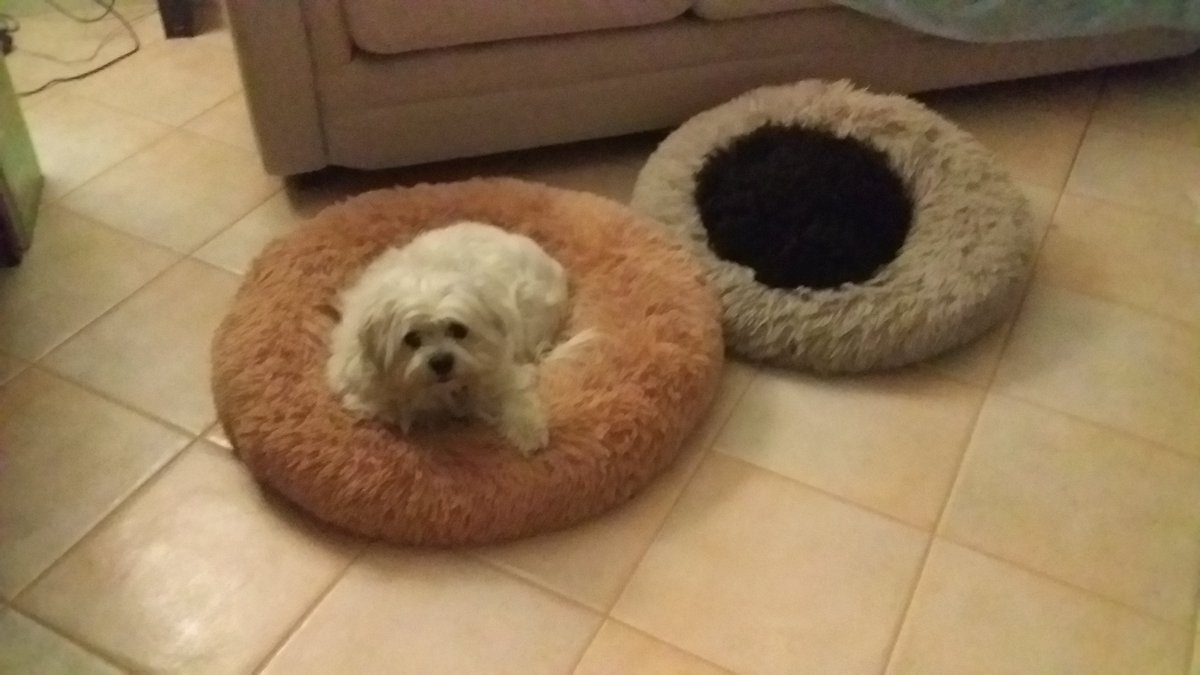 MovementFull's tweet image. Mother and daughter