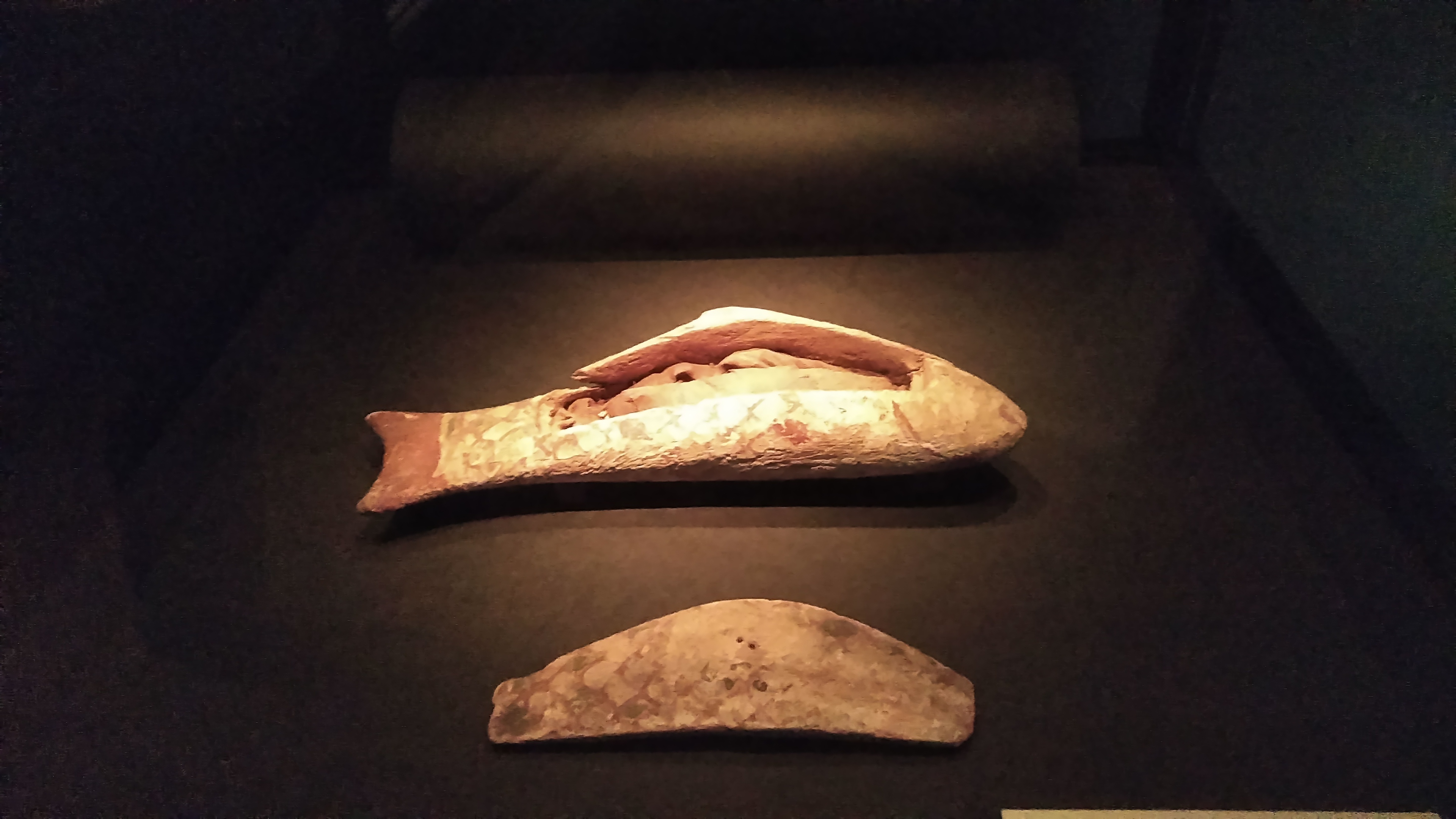 公式 ライデン国立古代博物館所蔵 古代エジプト展 福岡展 古代エジプト展 第7会場目となる福岡会場で初めて展示されている作品が2点あります 福岡市博物館 ミイラ Twitter