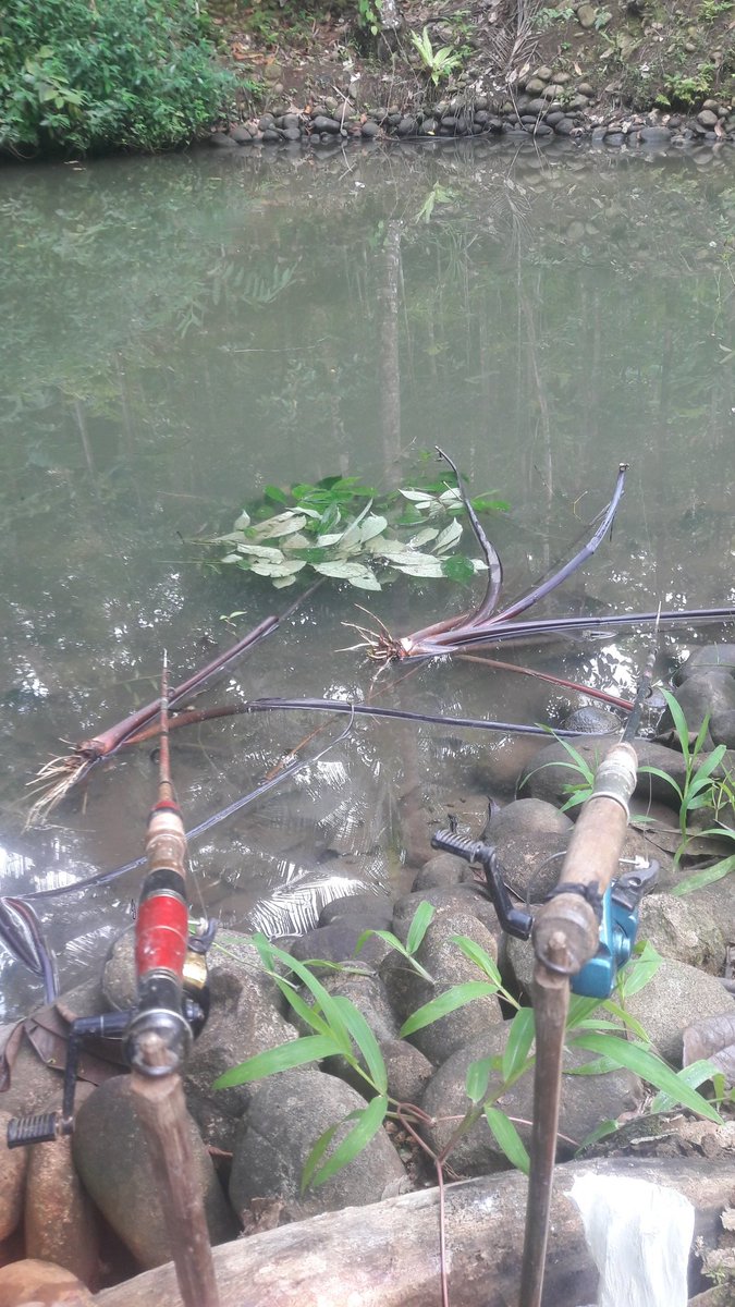 MscAconk's tweet photo. mancing https://t.co/k0gUCdstAI