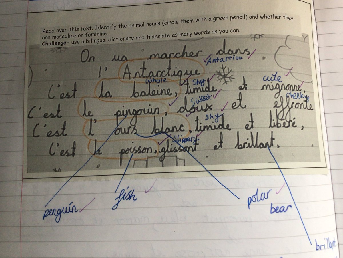 StrettonStMatts's tweet photo. Excellent bilingual dictionary skills shown in Year 4. #SSM #SSMYear4 #SSMFrench @network_primary https://t.co/fKPrd2b07A