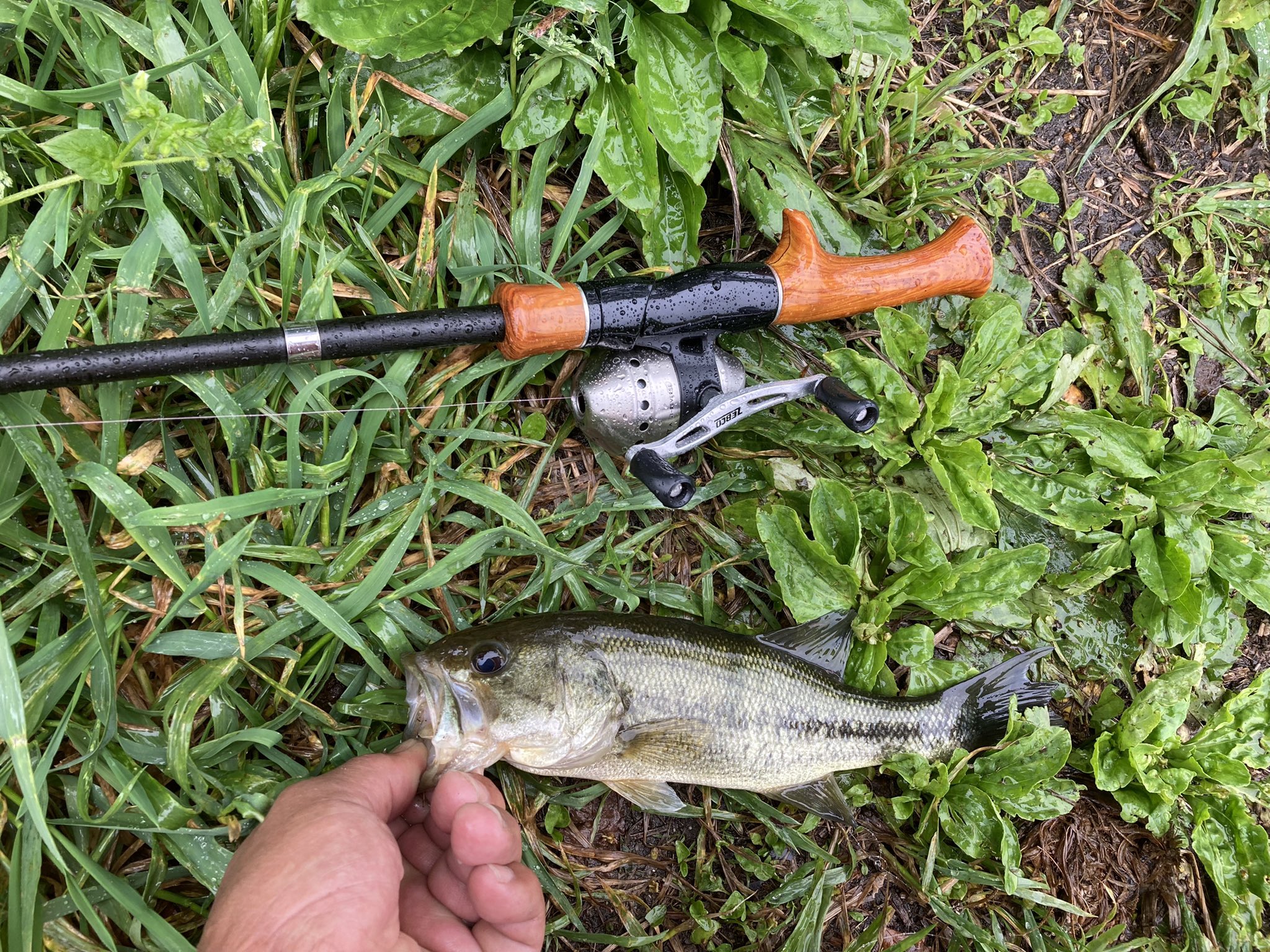 スピンキャストリール Twitter Search Twitter