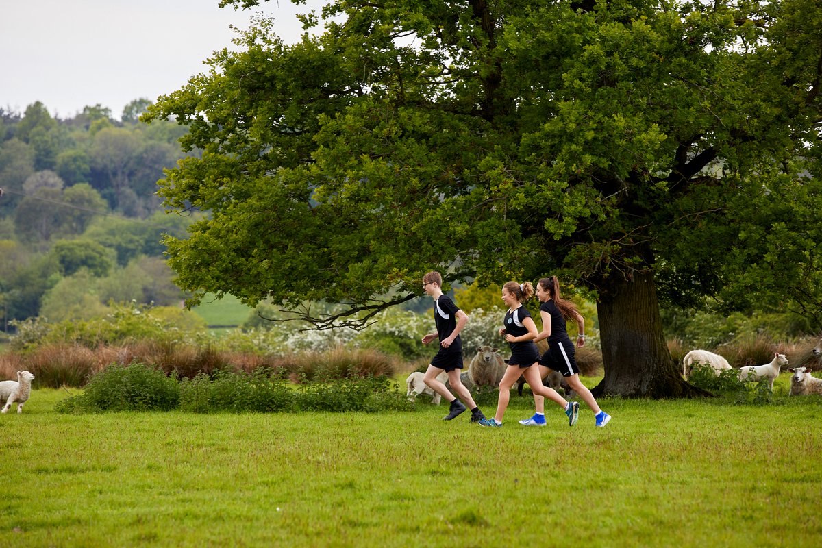 Uplands CC tweet media