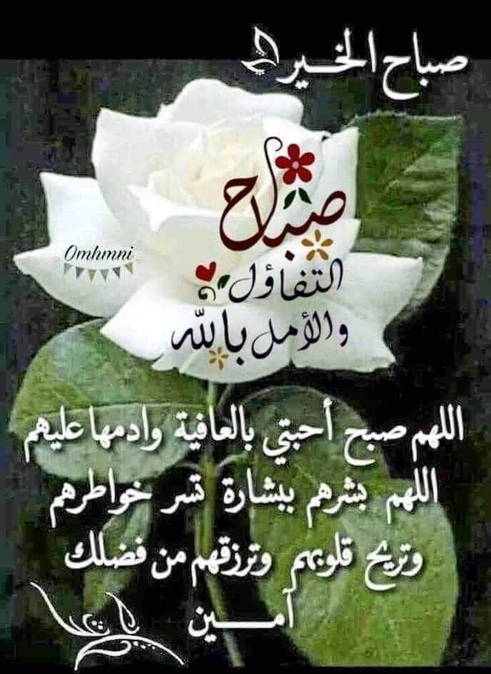 BouchalkhaM's tweet photo. @HichamAbdaoui https://t.co/R4eo8KOFnC