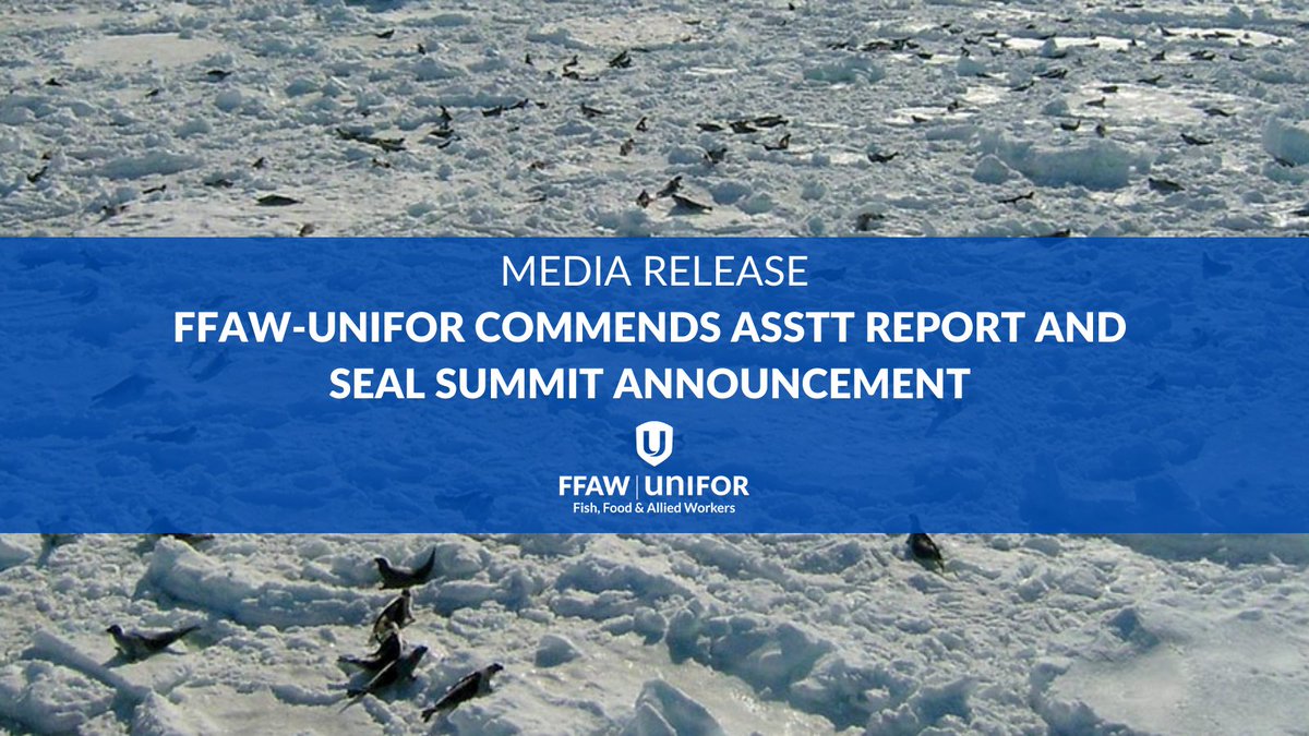 🔴 MEDIA RELEASE - FFAW Commends Atlantic Seal Science Task Team Report and Seal Summit Announcement: ffaw.ca/the-latest/new…
<a href="/VOCMNEWS/">VOCM News</a> <a href="/CBCNL/">CBC Newfoundland and Labrador</a> <a href="/TheBroadcastCBC/">The Broadcast</a> <a href="/NTVNewsNL/">NTV News</a>