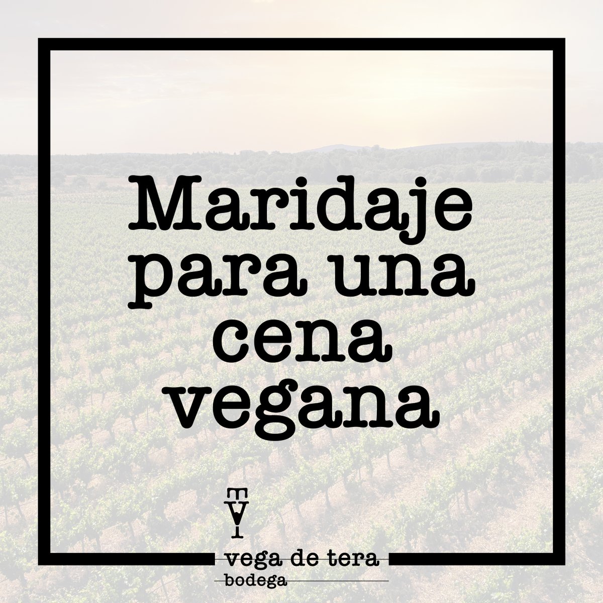 VegadeTera's tweet photo. ¿Te atreves con una cena vegana?

-Hamburguesa vegana. Pueden hacerse con un gran abanico de ingredientes: legumbres, tofu, seitán, cereales, verduras...

-Sitrama Tinto Ecológico Vegano (TERRA). Un vino carnoso y estructurado con mucho tanino y postgusto duradero. https://t.co/1Be76iOIUu