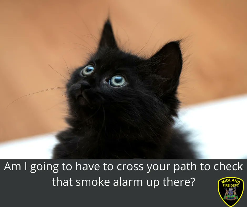 MidlandFire's tweet photo. We get that Friday the 13th is synonymous with bad luck, but increase your good luck by making sure you have working Smoke Alarms.
#KittenOfFireSafety #FireSafeMidland https://t.co/4NRIHRgPgY