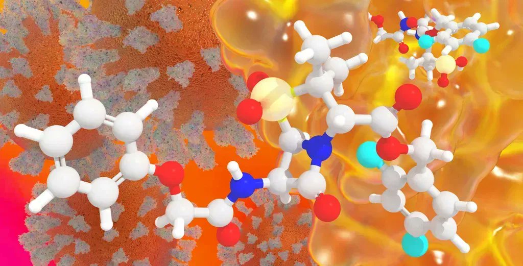IneosOxford's tweet photo. New IOI study shows that penicillin derivatives can inhibit the main viral protease of #SARSCoV2. Work by @TikaRMalla @MartinWalshDLS @SchofieldOxford et al. | Image by @KarlnHarrison 
Read more here: https://t.co/8SYthaowaL
Full paper JMedChem @ACSBioMed: https://t.co/bX8Gs4BBc5 https://t.co/6S8Ypy2M4E