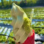 ツイートに含まれる画像