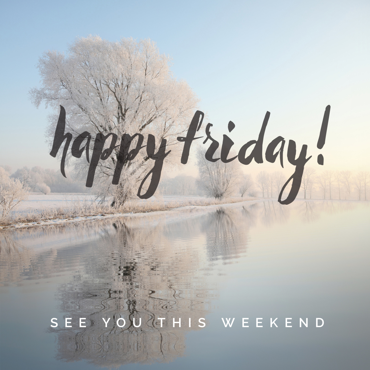 bethany_union's tweet photo. For sure! We're celebrating both Saturday evening and Sunday morning. Join us to be moved by the words of Rev. Starlette Thomas and music of the Bournes Family and Ms Felicia P Fields! https://t.co/EMBj26hIlU