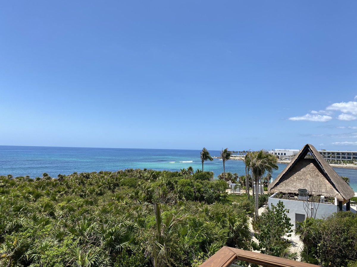 takeda_mex's tweet photo. HILTON TULUM&amp;CONRAD TULUM オープニングパーティーと宿泊1泊付きの招待を受け、出席。新しい出会いや興味深い話を聞き刺激を受ける。メキシコスタイルのドンチャン騒ぎはそこそこで退散。自分はもう若くないと再認識。。。でもたまにはこういうのも悪くないな。 https://t.co/uxtEKZgklx