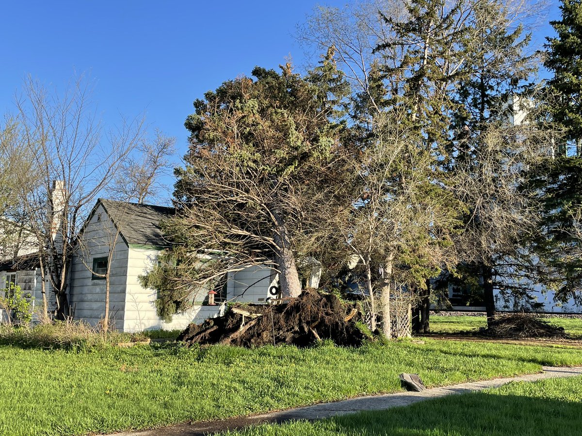 JayciedoddVNL's tweet photo. MASSIVE uprooted tree landed on this house in Wahpeton after last night’s storms. https://t.co/hXaXNg2oRS