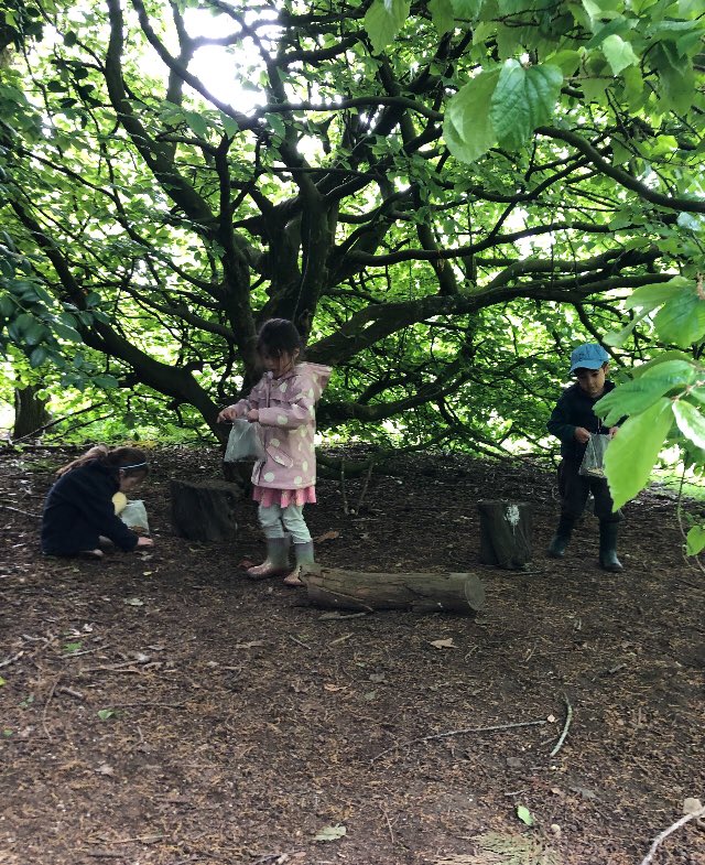 CarrdusYear1's tweet photo. Inside out day! Today we took the classroom outside, we found treasures in the woods, made stories about them, used our sense to describe them and created art work! #carrduschool https://t.co/zV1l67AtpP