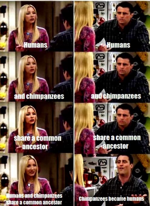 Aniruddha Datta Roy tweet media