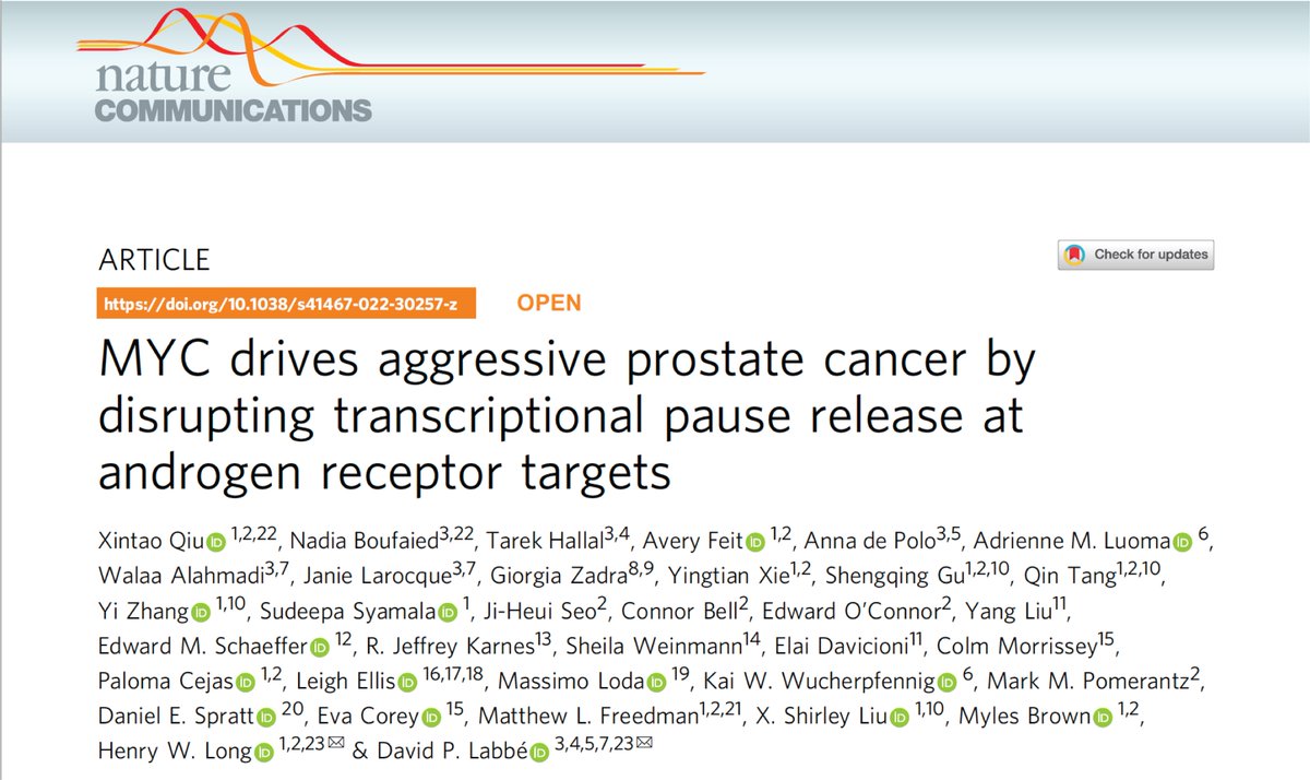 David P. Labbé, PhD (@davidp_labbe) on Twitter photo Thrilled to share our study published <a href="/NatureComms/">Nature Communications</a>, which found that #MYC drives aggressive #prostatecancer by disrupting transcriptional pause release at #AR targets. Co-first authors <a href="/Xintao_Qiu/">Xintao</a> and <a href="/BoufNadia/">Nadia Boufaied</a>. Co-lead <a href="/hwlong11/">Henry W Long</a> + 31 co-authors!
rdcu.be/cNtZA
(1/15) Thrilled to share our study published <a href="/NatureComms/">Nature Communications</a>, which found that #MYC drives aggressive #prostatecancer by disrupting transcriptional pause release at #AR targets. Co-first authors <a href="/Xintao_Qiu/">Xintao</a> and <a href="/BoufNadia/">Nadia Boufaied</a>. Co-lead <a href="/hwlong11/">Henry W Long</a> + 31 co-authors!
rdcu.be/cNtZA
(1/15)