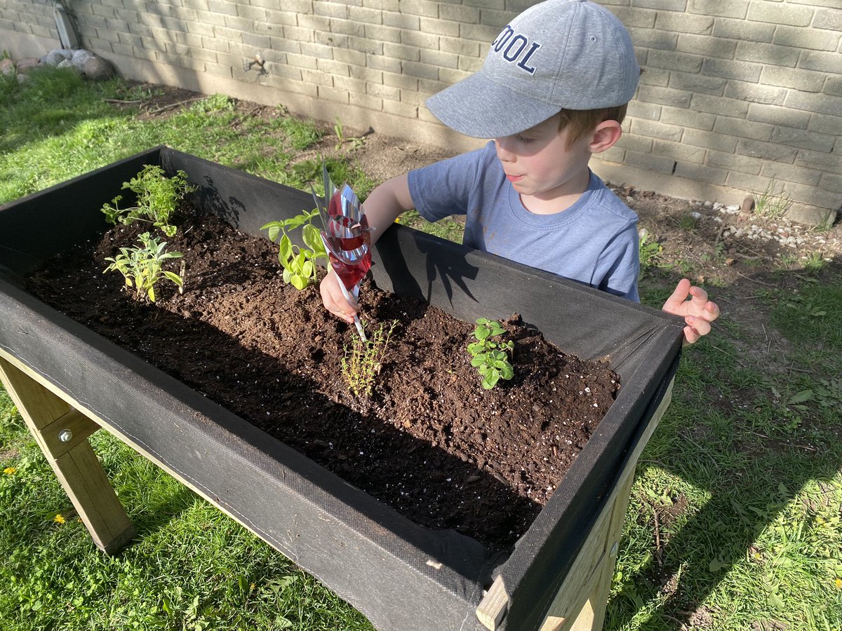 Thanks <a href="/Y90195725Young/">Mr. Young</a> for the great plants! Your students are amazing! I even had my favourite little helper add his own touch to our herb box. <a href="/MontcalmCougars/">Montcalm Cougars</a>