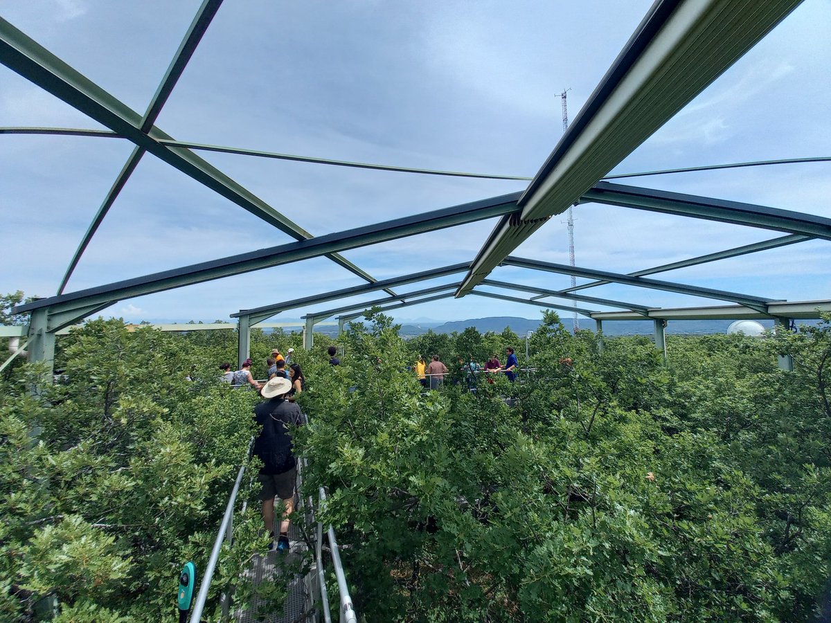 tildechom's tweet photo. And the visit of the rainfall exclusion experimental site #O3HP. Nice to have a setup where you can easily access the canopy for doing measurements on trees. How the downy oak forest will change with 30% reduction of rainfall? Soil, trees, litterfall, soil fauna are studied here https://t.co/grX3aKqLBR