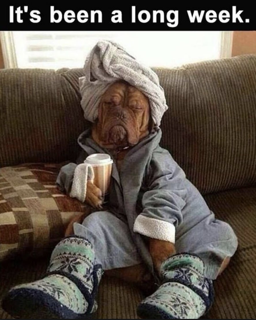 The Maynard Man tweet media