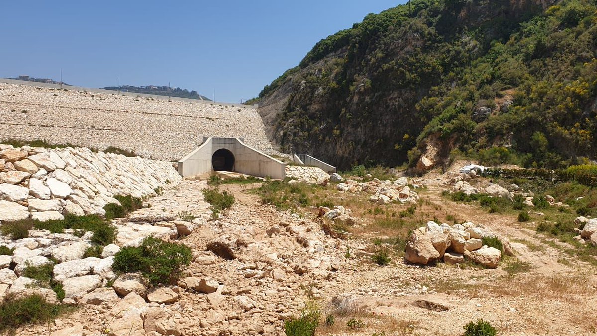 Save The Bisri Valley أنقذوا مرج بسري tweet media