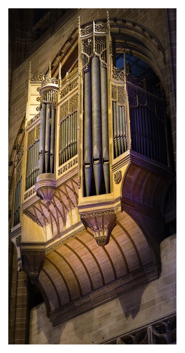 The organ in #Liverpool Cathedral <a href="/YOLiverpool/">K E V yoliverpool</a> <a href="/angiesliverpool/">Angies Liverpool</a> <a href="/BRPimages/">Bernard Rose</a>