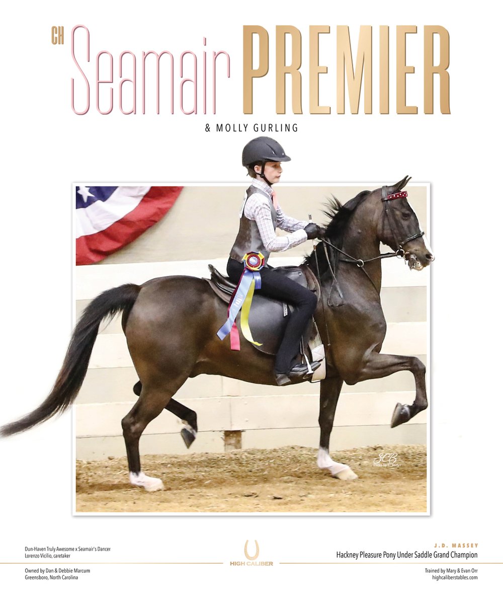 TNH1865's tweet photo. #nationalhorseman @jdmasseyclassic @mgurlingv2 #marcum @highcaliberstables #hackneypleasureundersaddle #hackneyhorse https://t.co/rBi5EQX7Oi