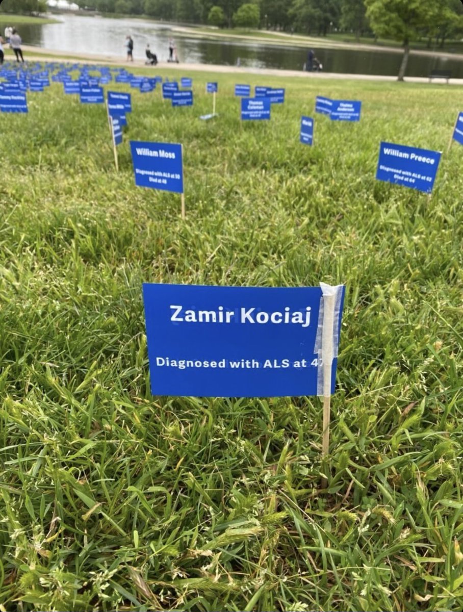 Zamir (@miroisfighting) on Twitter photo 