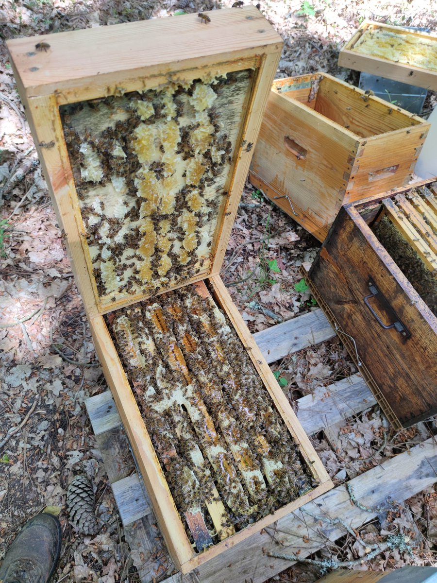 Ça manque de place ou bien ? 😅