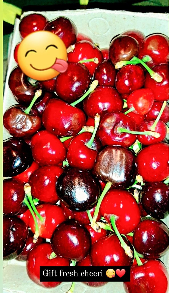 IrfanZehri100's tweet photo. قلات کی مشہور فروٹ چیری 😋❤
Doston ki gifts.......🌸 thank you sangat❤
#Freshfruits #Cheeri #Kalat #Balochistan https://t.co/rbk1M7jbI5