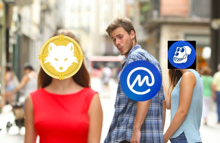 ArcticFox tweet media