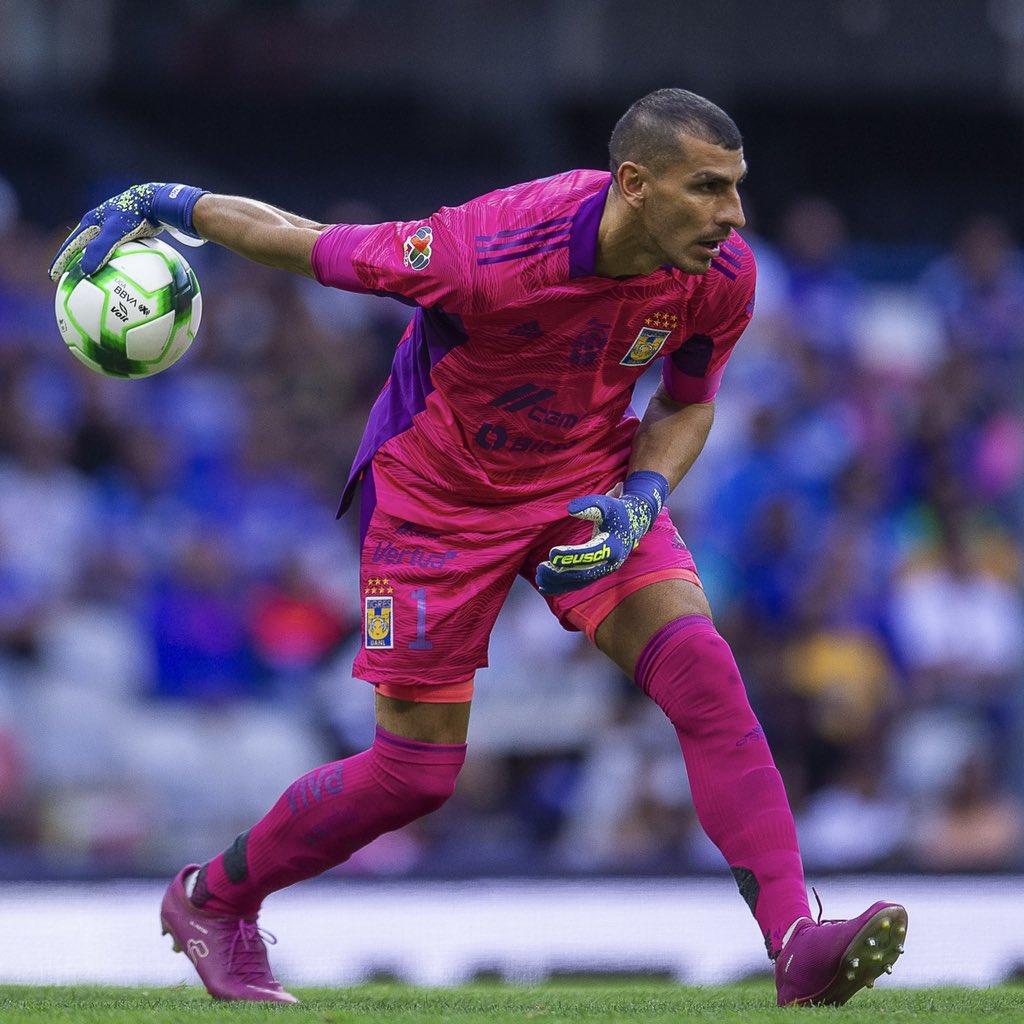 TigresOficial's tweet photo. 🔃 RT al @PatonGuzman 🍀 de la suerte para que nos acompañe en toda esta Liguilla… https://t.co/3aCFgFdK14