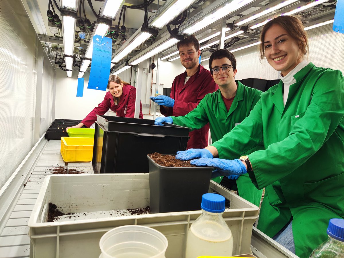 LettuceKnow's tweet photo. Friday of transplanting! What a better day to start the weekend than working together in transferring hundreds of these cute lettuce :) #LettuceKnow #LettuceCollaborate https://t.co/yVhvW3hVlC