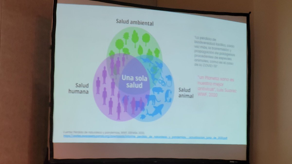 JLangemeyer's tweet image. &quot;Tenemos que hablar de adaptación!&quot; Grace Yepez @YESInnovation1 highlights the need to develop #NbS in face of multiple urbanization challenges including #ClimateChange #SocialSegregation, #BiodiversityLoss  @INTERLACE_NBS @FLACMA_ @UCLGLearning @ClimateAlliance