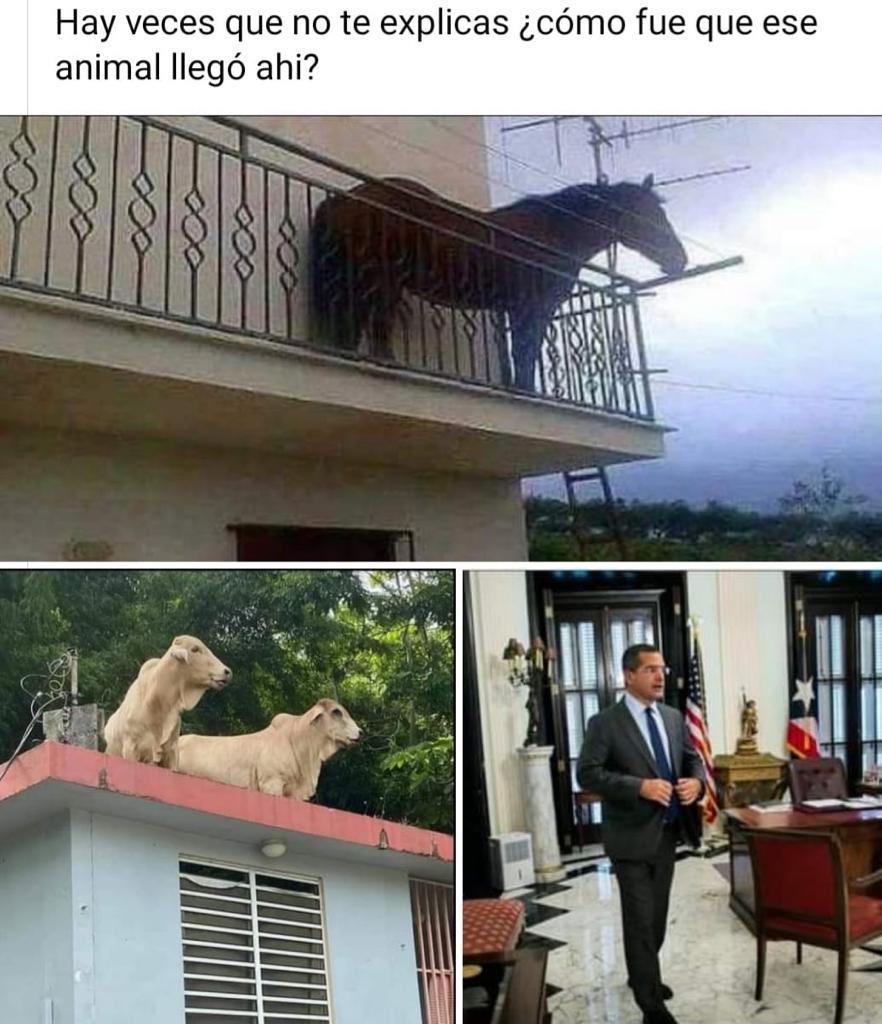 RF Cruz (@robroy945) on Twitter photo 