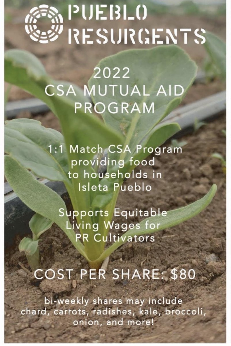 SURJ_ABQ's tweet photo. Looking for a farm share this summer? The Pueblo Resurgents CSA program is the way to go. Your share covers your produce, and a matching box for a family in Isleta Peublo. It also ensures living wages for the people who grow your food. 🥦🥬🧅🥕🌶

https://t.co/z4q106C7rm https://t.co/Wy4DoTlswy