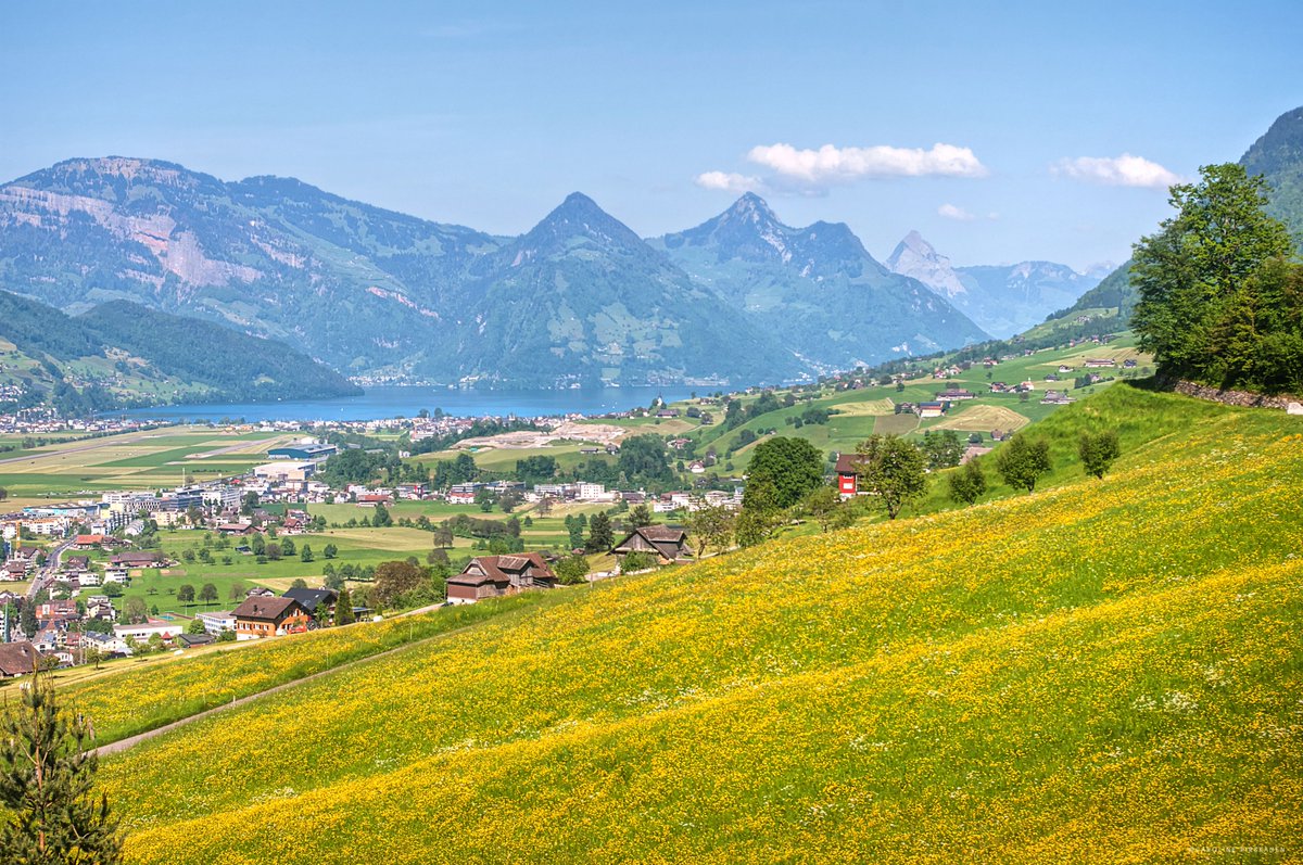 Stanserhorn views ☀️
#Nidwalden #Switzerland #carolinepirskanen
@MySwitzerland_e @1000Switzerland