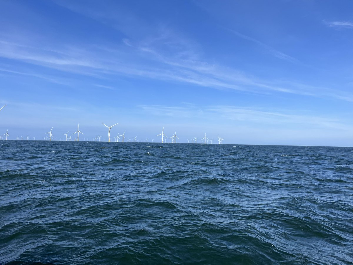 Ronnie Belmans tweet media