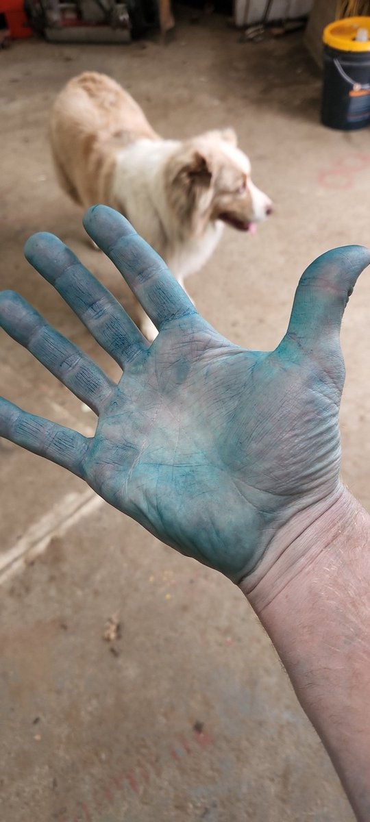 Ryan Surette tweet media