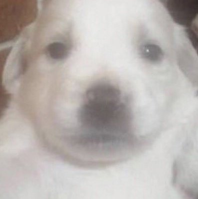 병뚜껑 tweet media