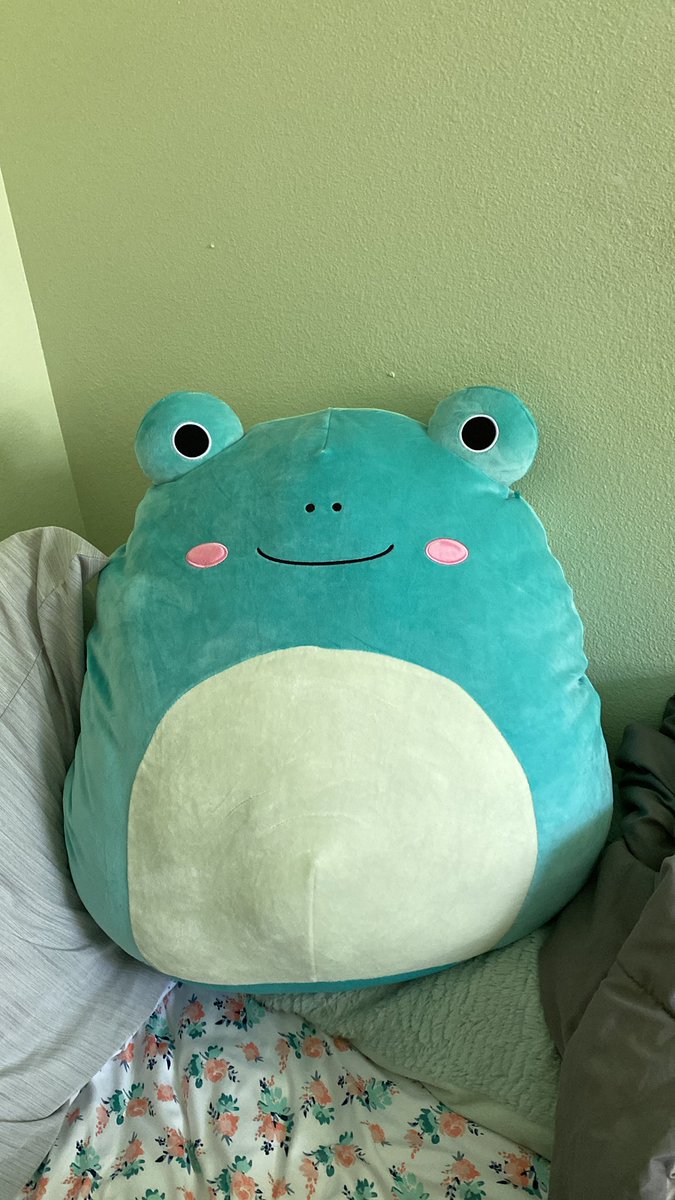 I caved and got a frog squishmallow only he’s freaking huge and I’m in love. He’s going to be designated hug buddy for my dorm next semester 🥹