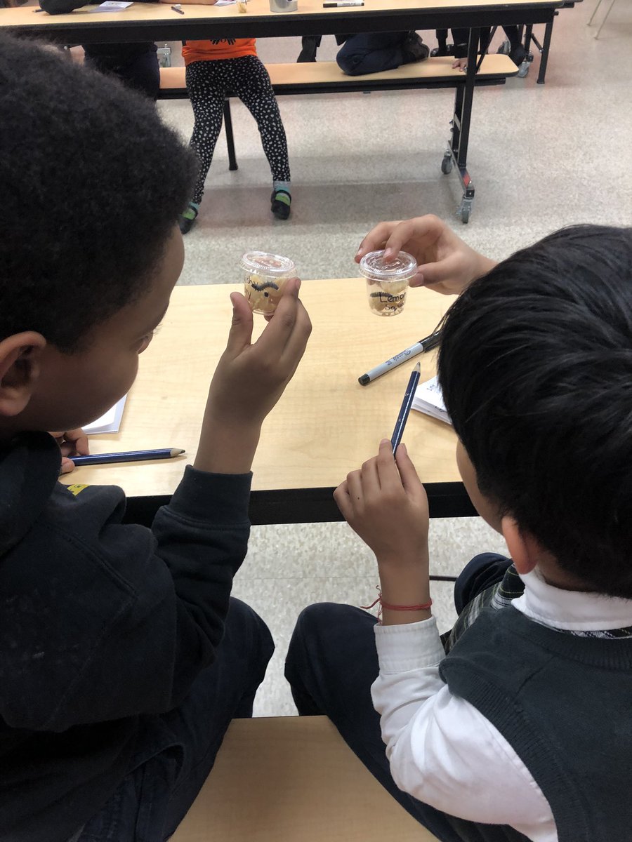 PrincipalAleta's tweet photo. CJM students are observing our caterpillars on their journey to become butterflies. #WeAreCBE @CJMCBE @Area4CBE https://t.co/GmcorklODm