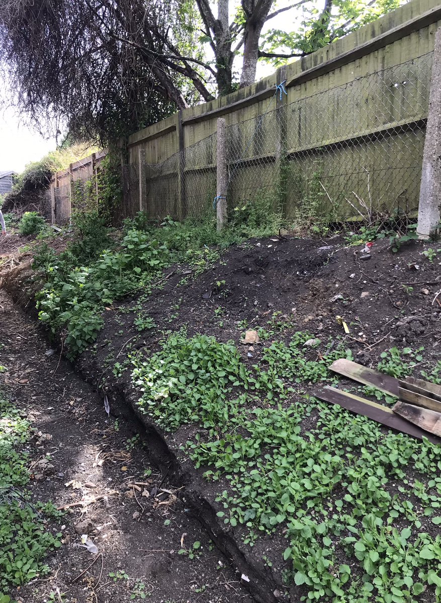 AitkinHazel's tweet photo. Today's #communitypayback team from @KSSPS_CP #Maidstone working in partnership with #maidstonetaskforce continued their clearance and landscaping project at #StMartinsChurch and village hall #Shepway π #givingback #probationworks https://t.co/0RKbQODWqt