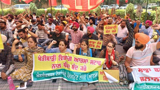 nabaz_e_punjab's tweet image. ਖੇਤੀਬਾੜੀ ਵਿਭਾਗ (ਆਤਮਾ ਸਕੀਮ) ਦੇ ਕਰਮਚਾਰੀਆਂ ਨੇ ‘ਆਪ’ ਸਰਕਾਰ ਵਿਰੁੱਧ ਮੋਰਚਾ ਖੋਲਿਆ

nabaz-e-punjab.com/agriculture-de…

 #AAP #AgricultureDepartment #AtmaScheme #Government