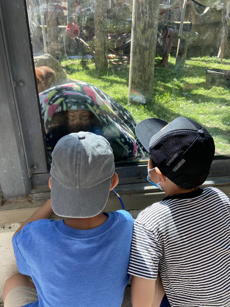 skelloughBGCS's tweet photo. Thank you @BGConneautPTO for helping to fund our zoo trip!!  We had the best day!
@KaraffaAlyssa @BGSchools https://t.co/06ycW3r6HK