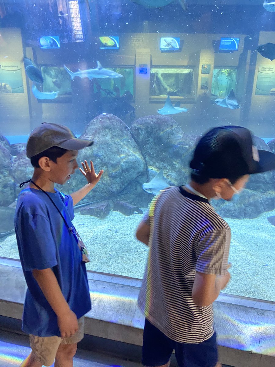 Thank you <a href="/BGConneautPTO/">BG Conneaut PTO</a> for helping to fund our zoo trip!!  We had the best day!
<a href="/KaraffaAlyssa/">Alyssa Karaffa</a> <a href="/BGSchools/">BG Schools</a>