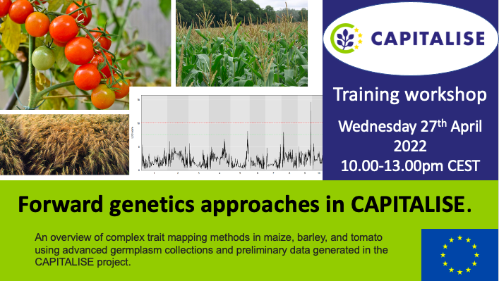 photosynth_2030's tweet photo. Did you miss the latest training workshop by CAPITALISE? You can view it here :) https://t.co/FuBipRwMkJ
#photosynthesis #genetics #forwardgenetics #breeding #plants https://t.co/mmQD8mL9aa