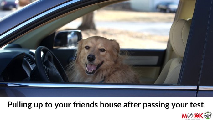 MockDrivingTest's tweet image. Who&apos;s excited for this moment? 😁Dont be the unlucky one and get yourself on the road.

Take a look at our Introduction to driving course; it&apos;s the perfect place to start. 
mockdrivingtest.com/static/driving…
#MockDrivingTest #firsttimepass #driving #FridayThe13th